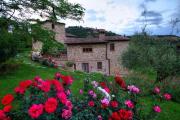 Top Montepulciano