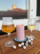Top Novigrad Istria