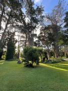 Top Mar del Plata