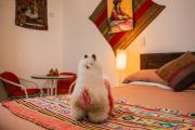 Top Cuzco