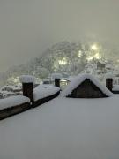 Top Shimla