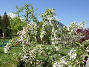 Top Schönau am Königssee