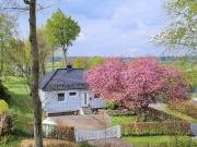 Cherry trees in blossom
