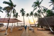 Top Goa Velha