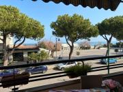 Cavalluccio Marino i4 Silvi Vacanza