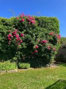 Nyd den skønne natur ved hav og fjord