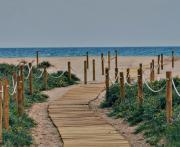 Top Puerto de Sagunto