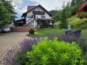 Top Voronet Top Voronet