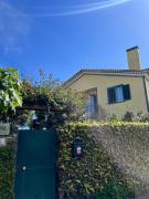 Top São Vicente Ferreira