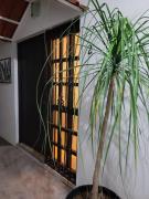 Casa B & L Céntrico Departamento