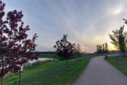 Top Edmonton