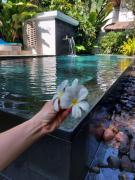 Top Ubud
