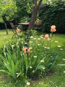 Top Horní Chřibská