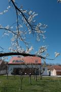 Top Sărata