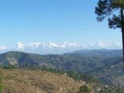 Top Almora