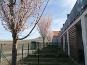 Top Dolní Dunajovice