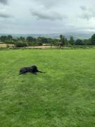 Top Hay-on-Wye