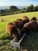 Top Hay-on-Wye