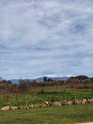 Top Oliveira do Hospital