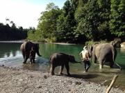 Indra Valley Inn Bukit Lawang