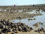 Top Le Port-des-Barques