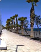 Top Puertito de Güímar