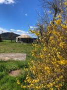 Top Saint-Pierre-Eynac