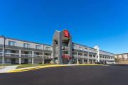 Top Rockford