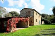 Top Castellina Marittima