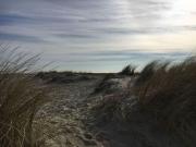 Top Wangerland