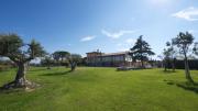Top Prato