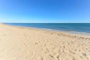 Top Mashpee
