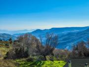 Top Kato Trikala Korinthias