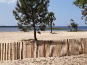 Top Parentis-en-Born