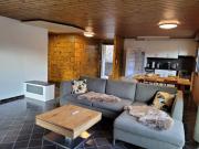 Aletsch Arena Fieschertal FeWo - 3,5 Zimmer