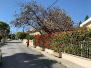 Top Limassol