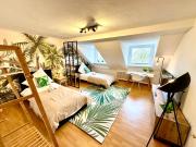 Dschungel Wohnung, geräumig, Netflix, Sonos, zentral