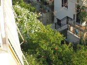 Top Plomarion Top Plomarion