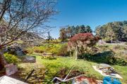 Top Mendocino