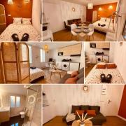 Le Wild Terracotta - Home Homy