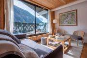 Beautiful apartment with superb view of Mont Blanc
