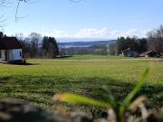 Top Bad Endorf Top Bad Endorf