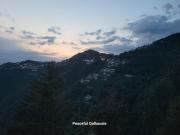 Top Dalhousie