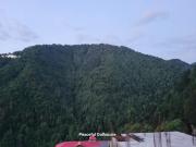Top Dalhousie