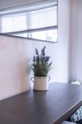 Top San Bruno
