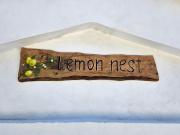 Lemon Nest Lemon Nest