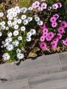 Provencal style home in Mediterranean seaside town