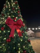 Damyang Raon Glamping