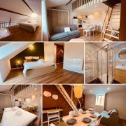 Le Wild Heaven - Home Homy Le Wild Heaven - Home Homy