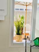 Top Conil de la Frontera